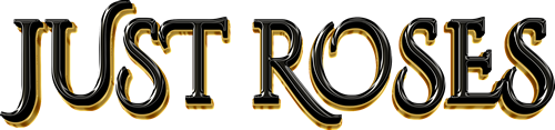 Just Roses Art – Decoruri și Experiențe Unice pentru Evenimente Memorabile